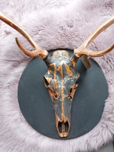Antlers
