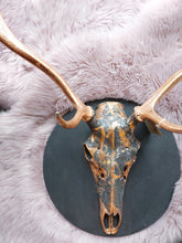 Antlers