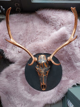 Antlers